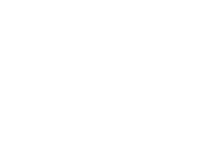 Empower Benefits & Insurance Group - Logo 500 Whitie